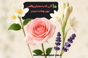 گل‌هایی که بوی بهشت میدن