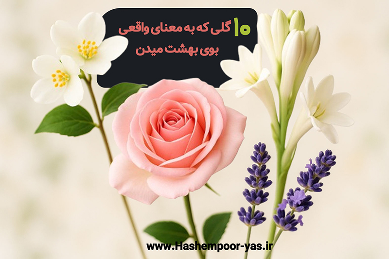 گل‌هایی که بوی بهشت میدن