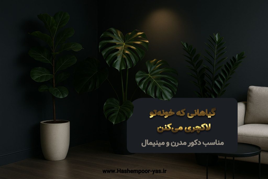 گیاهانی مناسب دکور مدرن و مینیمال