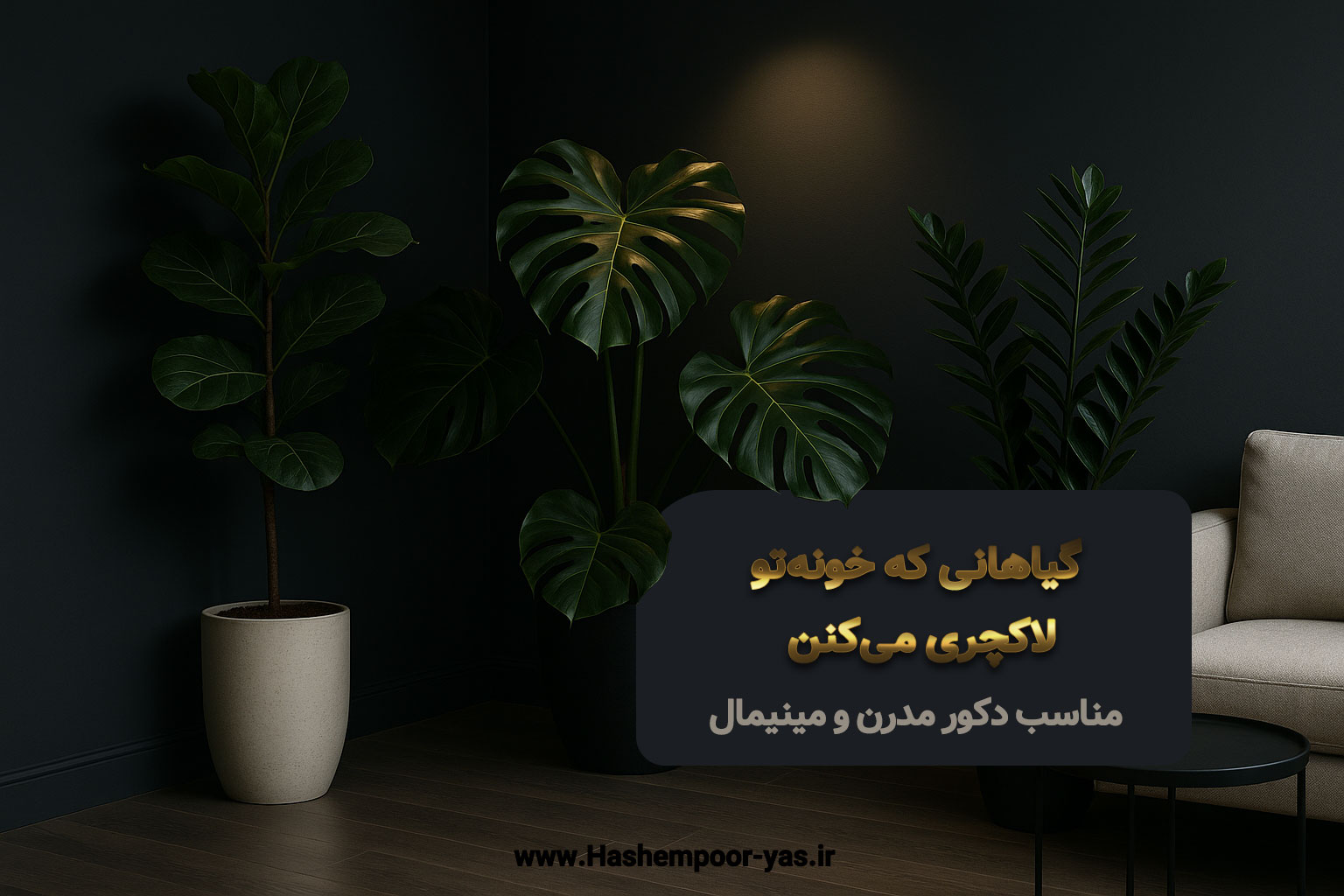 گیاهانی مناسب دکور مدرن و مینیمال